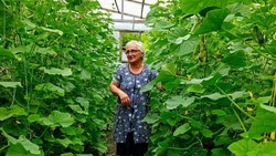 Пенсионерка из села Пристень Валуйского округа Белгородской области заключила социальный контракт