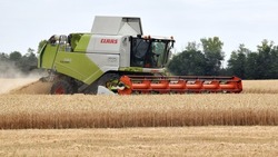 Уборка зерновых продолжилась в Валуйском округе Белгородской области
