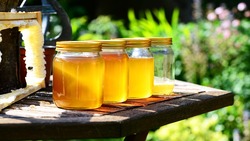 Уразовец представил на областной ярмарке пчеловодов самый вкусный мёд