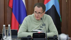 Владимир Базаров доложил Вячеславу Гладкову о промежуточных результатах реализации проекта «Жильё»