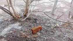 Коммунальные службы  начали приводить в порядок ливнёвки в областном центре перед зимой