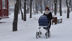 Синоптики спрогнозировали осадки в виде дождя и мокрого снега в Белгородской области