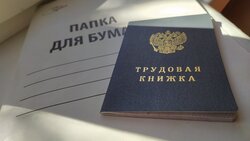 «Единая Россия» внесла в Госдуму поправки в закон о занятости
