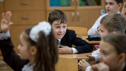 Власти не намерены вводить дистанционное обучение в школах Белгородской области