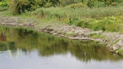 Общественная комиссия приняла работы по очистке участка реки Валуй в городском округе