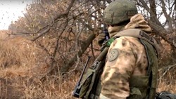 Вячеслав Гладков: «Наши подразделения продолжают выполнять задачи по защите Белгородской земли»
