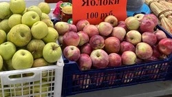 Предновогодняя ярмарка продолжила свою работу в Валуйках