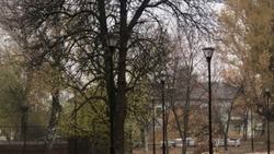 Вячеслав Гладков поручил проинспектировать противоклещевую обработку в Белгородской области