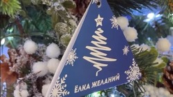 Глава Белгородской области присоединился к участию во всероссийской акции «Ёлка желаний»