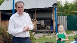 Белгородский губернатор проинспектировал темпы ремонта повреждённых домов в валуйской Соболёвке 