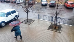 Холод и дождь пришли на территорию Белгородской области в начале рабочей недели