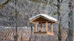 Экологическая акция «Покормите птиц зимой» прошла в Бутырской школе