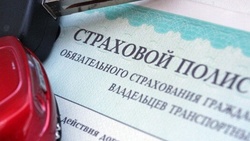 Белгородская область стала одним из лидеров Центральной России по покупке страховки онлайн