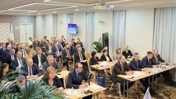 Компания Белгородэнерго подвела итоги за прошлый год в рамках первой региональной коллегии