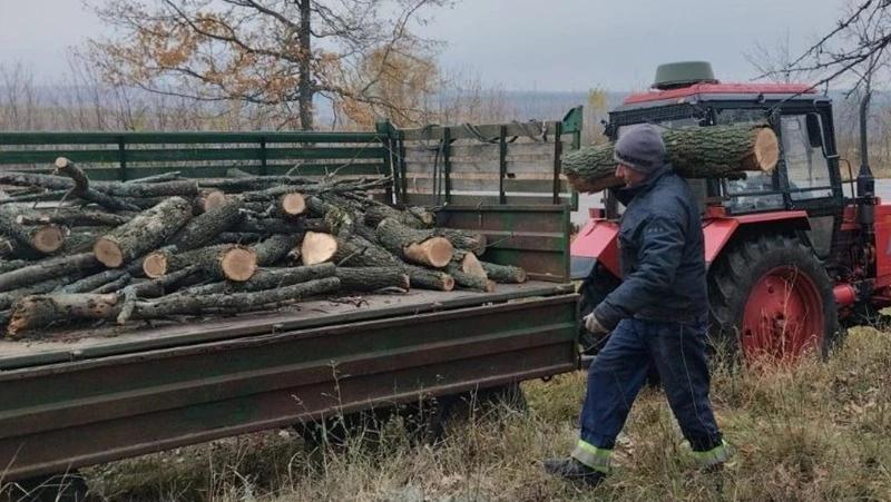Работы по заготовке дровяной древесины продолжились в Валуйском округе Белгородской области