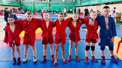 Валуйчане из Белгородской области завоевали золотые награды открытого первенства по самбо в Россоши