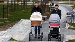 Более 3 тысяч белгородских семей получили выплату при рождении третьего ребёнка в 2024 году