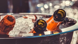 Алкогольные напитки будут под запретом в Белгородской области 11 сентября