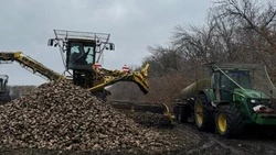 Аграрии Валуйского муниципального округа завершают уборку урожая