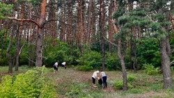 Шелаевцы из Валуйского городского округа провели санитарно-экологический субботник 