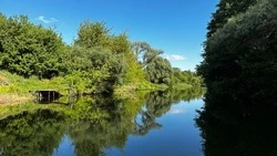 Компания Белгородэнерго напомнила жителям региона об опасности рыбалки под ЛЭП