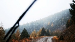 Мокрый снег и дождь придут на территорию Белгородской области во вторник