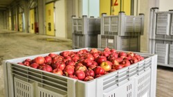 Компания Белгородэнерго подключила к сетям крупнейшее фруктохранилище в Черноземье