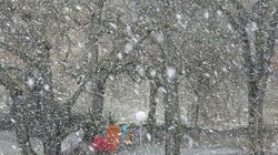 Метель и снежные заносы снова придут на территорию Белгородской области