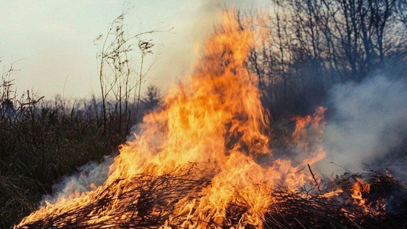 Cпасатели  Белгородской области призвали население не разводить костры