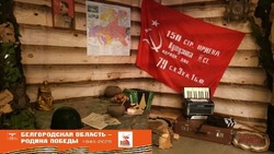 Работники Дворца культуры и спорта города Валуйки создали тематическую фотозону