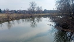 Власти региона запланировали очистить 51 водоём в Белгородской области в рамках проекта «Наши реки»