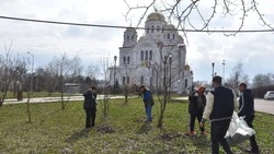 Месячник добровольного служения Белгородской области продолжился в Валуйском округе