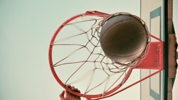 Команда НИУ «БелГУ» победила на первенстве области по баскетболу