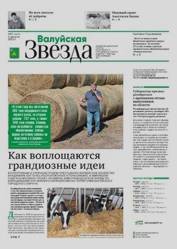 Газета «Валуйская звезда» №31 от 3 августа 2022 года