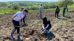 Акция «Сад памяти» прошла в селе Тимоново Валуйского городского округа