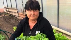 Жительница Валуйского округа Виктория Бондаренко построила две теплицы с помощью соцконтракта