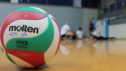 Осенний турнир по волейболу завершился в Валуйском городском округе