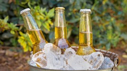 Торговые точки не будут продавать алкогольные напитки три дня в Белгородской области
