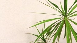 Постановление администрации Валуйского муниципального округа от 23 января 2026 года №26