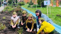 Жители Белгородской области  высадят 240 тысяч деревьев в рамках проекта «Сад памяти»