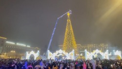 Огни зажглись на главной новогодней ёлке Белгородской области