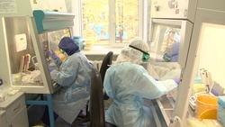 Медики белгородских ковидных госпиталей будут получать бесплатное горячее питание
