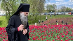 Епископ Валуйский и Алексеевский Савва побывал на открытии фестиваля «Река в цвету» в Белгороде