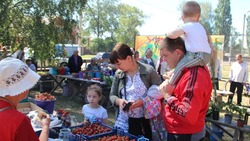 50 сельскохозяйственных ярмарок выходного дня прошли в Валуйском округе Белгородской области  