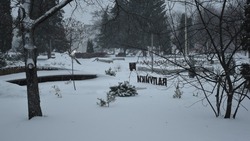 Снегопад пришёл в Валуйский городской округ Белгородской области