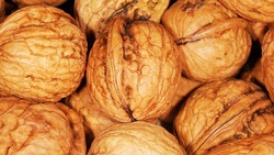 Работники таможни Белгородской области обнаружили нелегальные тонны грецкого ореха и изюма