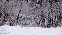 Сотрудники МЧС  порекомендовали  белгородцам воздержаться от прогулок по замёрзшим водоёмам