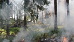 Сотрудники МЧС зафиксировали 86 пожаров на территории Валуйского округа