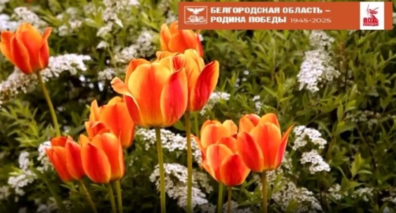 Победа будет за нами! «Валуйская звезда»  поздравила земляков с Великим праздником