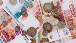 Белгородские аграрии смогут получить до 5 млн рублей в грантовом конкурсе